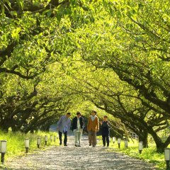 Premise! Japanese TV Program photo