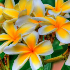 I Feel You Linger in the Air Thai Drama photo