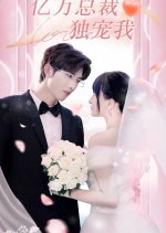 Yi Wan Zong Cai Du Chong Wo Chinese Drama photo