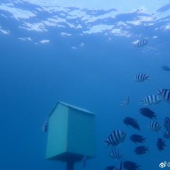 Ride Now: Vanuatu Chinese TV Program photo