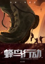 Operation Hummingbird Chinese Movie photo