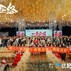 Out of Control Chinese Drama(2025) photo