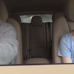 The Blooming Japanese Movie photo