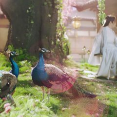 My Beauty Snake Fairy Wife Chinese Drama photo