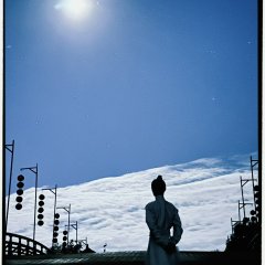 Young Blood Season 2 Chinese Drama photo