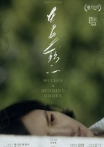 Within a Budding Grove Chinese Movie photo