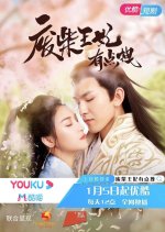 Fei Chai Wang Fei You Dian Zhuai Chinese Drama photo