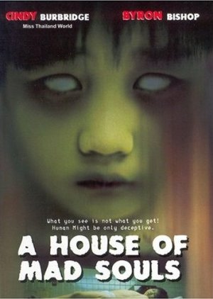 A House of Mad Souls (2003) poster