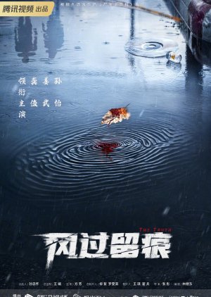 Feng Guo Liu Hen (2024) poster