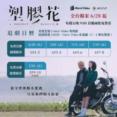 A Perfect Blossom Taiwanese Drama photo
