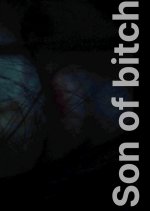 Son of Bitch Korean Movie photo