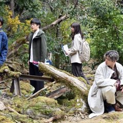 Pending Train: 8:23, Asu Kimi to Japanese Drama photo