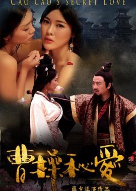 Cao Cao's Secret Love (2016) poster