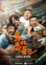 The Northeastern Bro 2: Endless Love Chinese Movie photo
