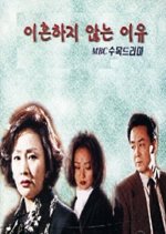 Why Not Divorce Korean Drama photo