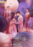 No Secrets chinese drama review