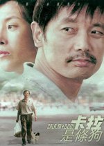 Cala, My Dog! Chinese Movie photo