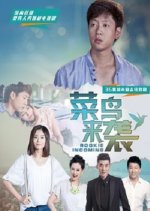 Rookie Incoming Chinese Drama photo