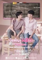 Puppy Love Thai Drama(2020) photo