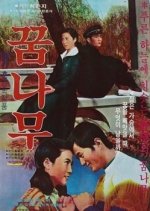 Tree of Dreams Korean Movie photo