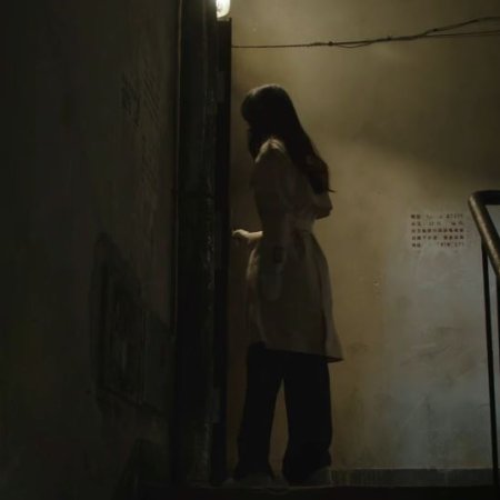 Light on Series: Who is the Murderer (2021)