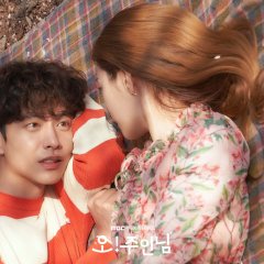 Oh My Ladylord Korean Drama photo