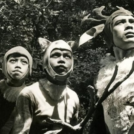 Da Xia Mei Hua Lu (1961)