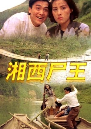 Kung Fu Vampire (1993) poster
