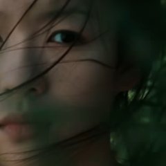 Crouching Tiger, Hidden Dragon Chinese Movie photo