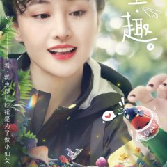 Wonderful Little Forest Chinese TV Program photo