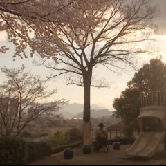 Perfect World Japanese Drama photo