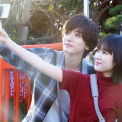 Even if This Love Disappears from the World Tonight Japanese Movie photo