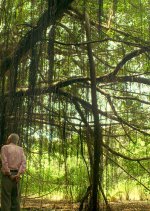 The Moon and the Tree Taiwanese Movie photo