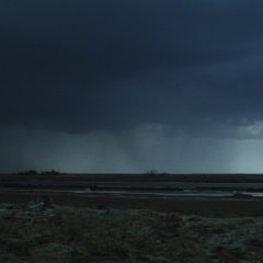 A Distant Cry from Spring Japanese Movie photo