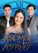 The Promise of Forever Philippines Drama(2017) photo