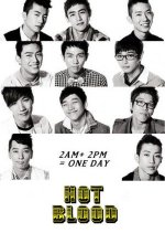 Hot Blood Korean TV Program(2008) photo