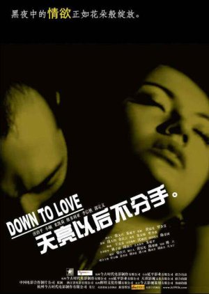 Down To Love (2006) poster