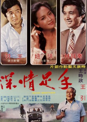 Boxer, Lover, Lawyer (1978) poster