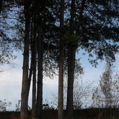 Poets′ Window Korean Movie photo