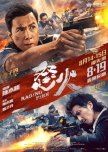 Raging Fire hong kong drama review