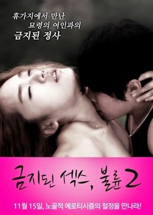 Forbidden Sex 2: Affair (2012) poster