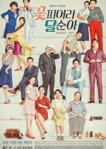 TV Novel: Dal Soon's Spring Korean Drama photo