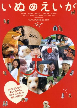 All About My Dog (2005) poster