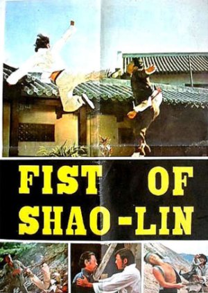 Fist of Shaolin (1974) poster