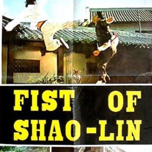 Fist of Shaolin (1974)