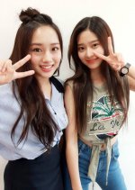 Like a Paradise Korean TV Program photo