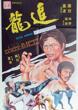 Fists of Dragons (1977) poster