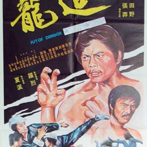 Fists of Dragons (1977)