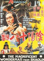 Magnificent Wonderman Hong Kong Movie photo