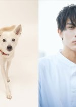 Inubu Japanese Movie photo